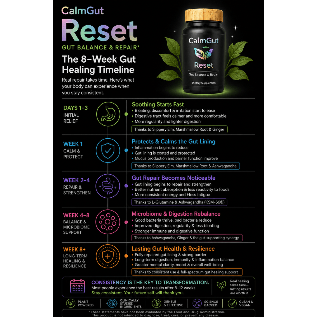 CalmGut Reset 8-week gut healing timeline — digestive repair, gut lining support, microbiome balance