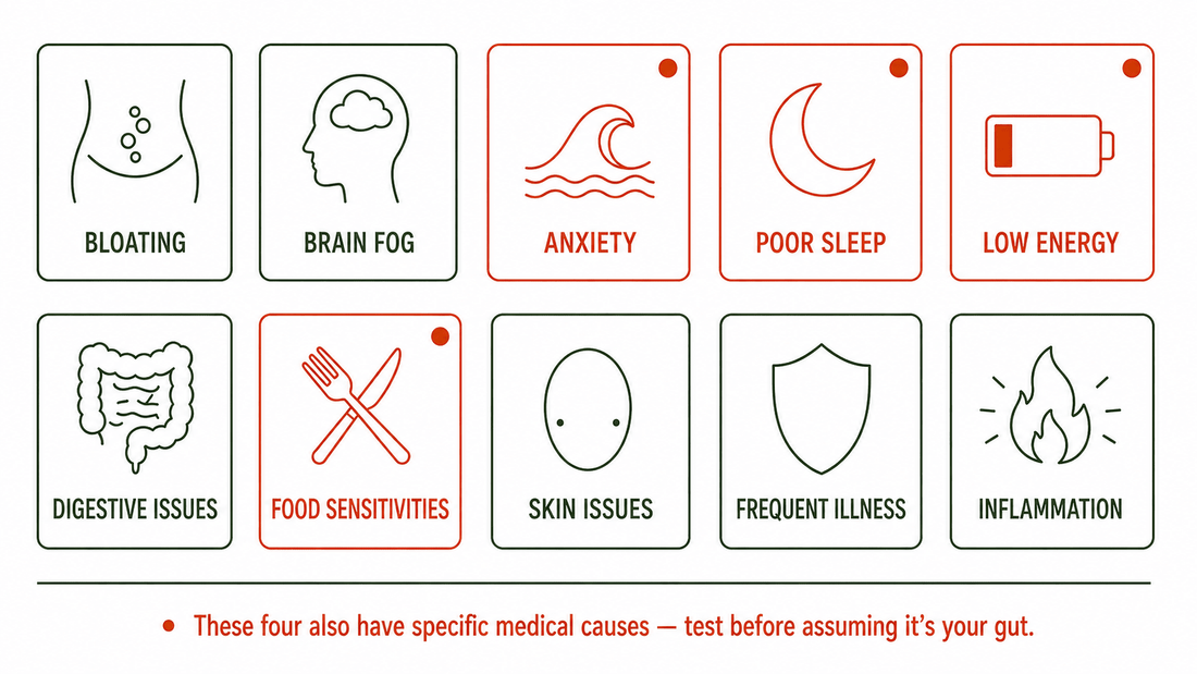 Ten signs of an unhealthy gut grouped by system, with the four that need a medical test flagged first