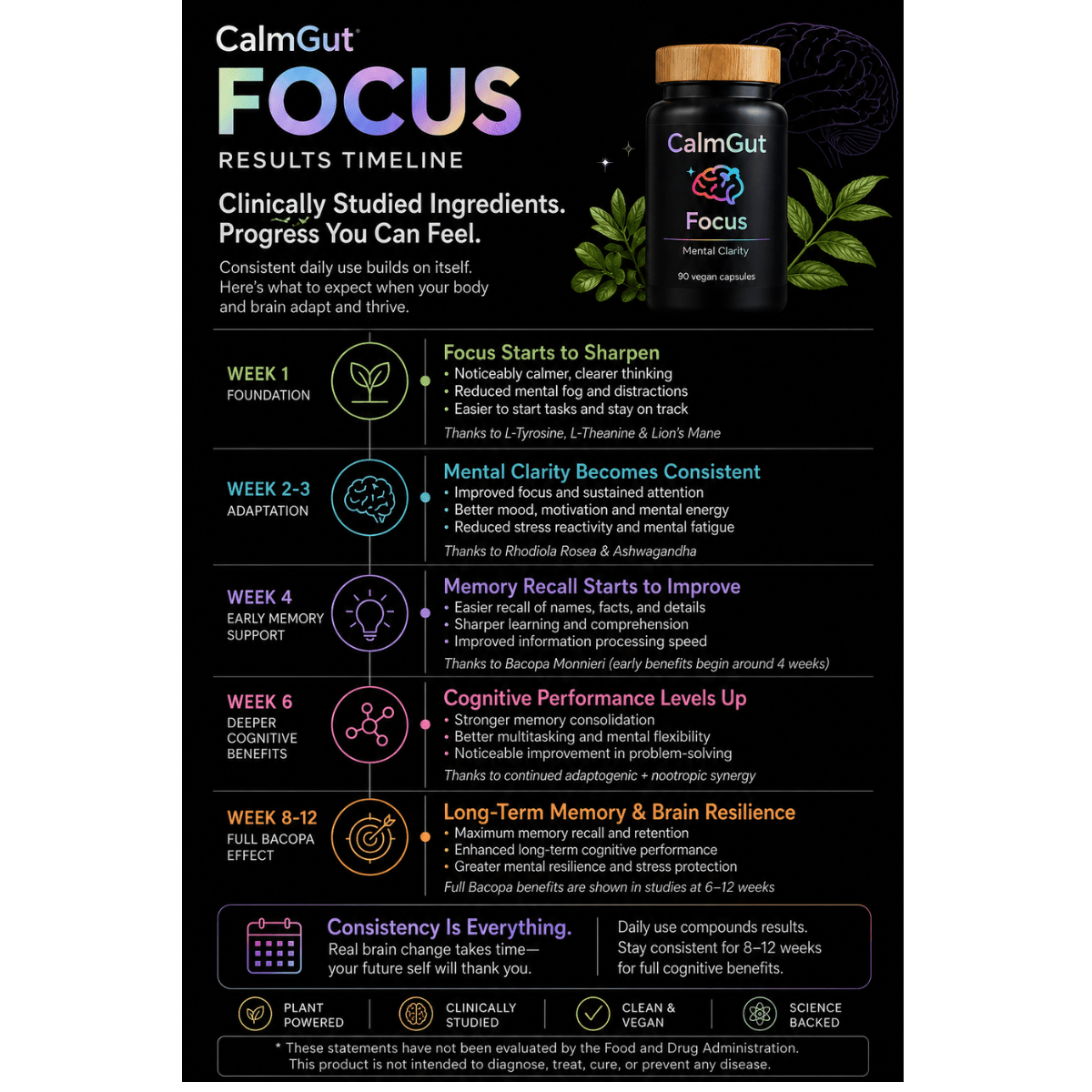 CalmGut Focus results timeline — weekly cognitive benefits from Lion’s Mane and nootropic blend