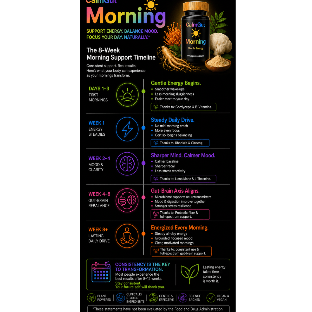 CalmGut morning 8 week timeline showing energy, mood, and gut-brain results from days 1-3 through week 8